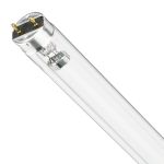 Philips T8 UV - C 17W - Ultra-violet | 60cm