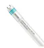 Philips Tube LED T8 MASTER Value (UN) Ultra Output 23W 3700lm - 840 Blanc Froid | 150cm - Équivalent 58W