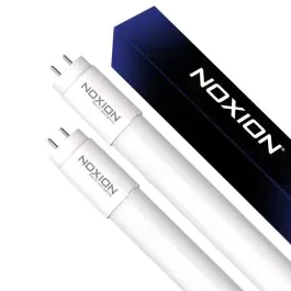 Noxion T8 LED TL buizen